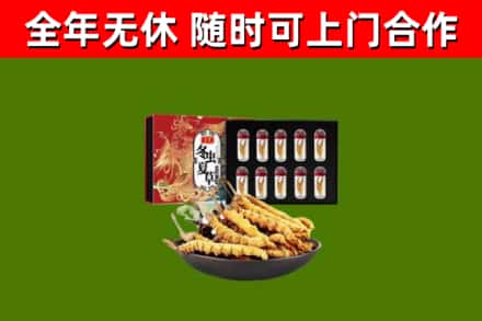 湄潭县回收冬虫夏草价格